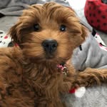 Willow Taylor-Geddes - @willow.the.wonderful - Instagram