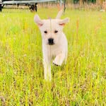 Willow Baby Thomas - @imawillowbaby - Instagram