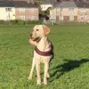 Willow - @willowthomas60 - TikTok
