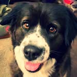 Willow - @w_i_ll_owtipton - Instagram