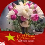 Willow Tran - Facebook