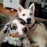 Willow & Tucker - @willowandtucker - Instagram