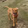 Willow Tucker - @willow_ivy_tucker - TikTok