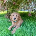Willow Tucker Creevey - @therealwillowt - Instagram