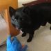 Willow Vaughan - Facebook