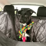Willow Vega - @willow_vega_miller - Instagram