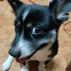 willowvilladelrey - @willowvilladelrey - TikTok