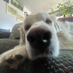 Willow Wagner - @lost.my.old.acc.itz.willow - Instagram
