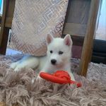 Willow Morgan-Walker - @willowwalker2021 - Instagram