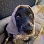 WALLACE - @willow.wallacex - Instagram