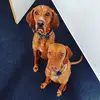 wallace_n_willow - @wallace_n_willow - TikTok