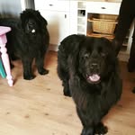 Willow & Wallace - @willace_thenewfs - Instagram