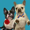 willow_and_wallace - @willow_and_wallace - TikTok