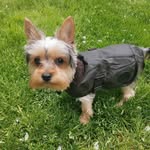 Willow Wallace McGrory - @willow.w.m - Instagram