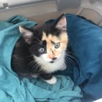 Willow-Walters - @willow_walters19 - Instagram