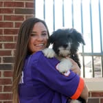 Willow Walton - @willowgirlthebordoodle - Instagram