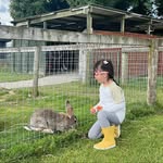 Willow Wang - @willowwang096 - Instagram