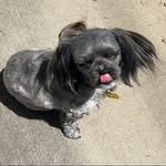 Willow Annette Warner - @willowannettewarner - Instagram