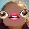 Willow's Dog - @.willowwarner - TikTok