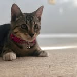 Willow Waters - @willow__waters - Instagram