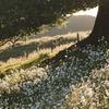 willowwaters - @willowwaters568 - TikTok
