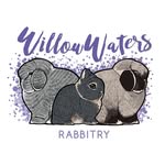 WillowWaters Rabbitry - @willowwatersrabbitry_98 - Instagram