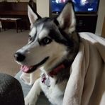 Willow Watson - Facebook