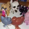 willowwatts - @yo.its.willow - TikTok