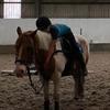 Just me and my ginger pony ❤️ - @willow_webb.eq - TikTok