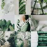 Willow Webb - @willowwebb25 - Instagram