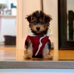 willow webb - @willowwebb6060 - Instagram