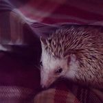 Willow 💟 - @willow.wells - Instagram