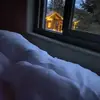 Willow Wells - @willow_wells_146 - TikTok