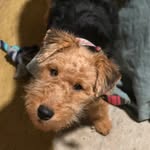 Willow Perkins - @willowwelshy - Instagram