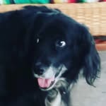 willow_welsh - @willow_welsh - Instagram