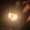 Willow West - @willow.west - TikTok