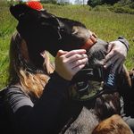 willow_west_ecology - @willow_west_ecology - Instagram