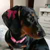 Willow - @willowwest__ - TikTok