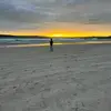 Willow - @willowwesttt - TikTok