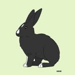 Willow - @willow.wiggles.wheeler - Instagram