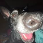Willow Whitehead - Facebook