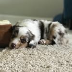 Willow Wiggins - @willow.wiggins - Instagram