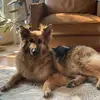 mywileywillow - @mywileywillow - TikTok