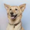 wileywillow - @wiley_willow - TikTok