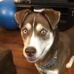 Willow - @wiley_willow - Instagram