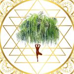 S Δ R A H☀️S H Δ W - @wise_willow_health - Instagram
