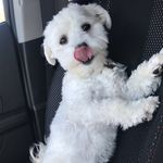 Willow - @willow_wiseman - Instagram