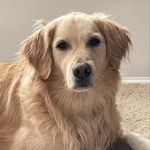 Willow Wise - @wandering.willow.wise - Instagram