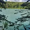 willowwise9000 - @willowwise - TikTok