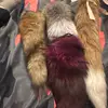 Willow the wolf - @willowthewolf9999 - TikTok